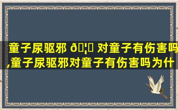 童子尿驱邪 🦍 对童子有伤害吗,童子尿驱邪对童子有伤害吗为什么